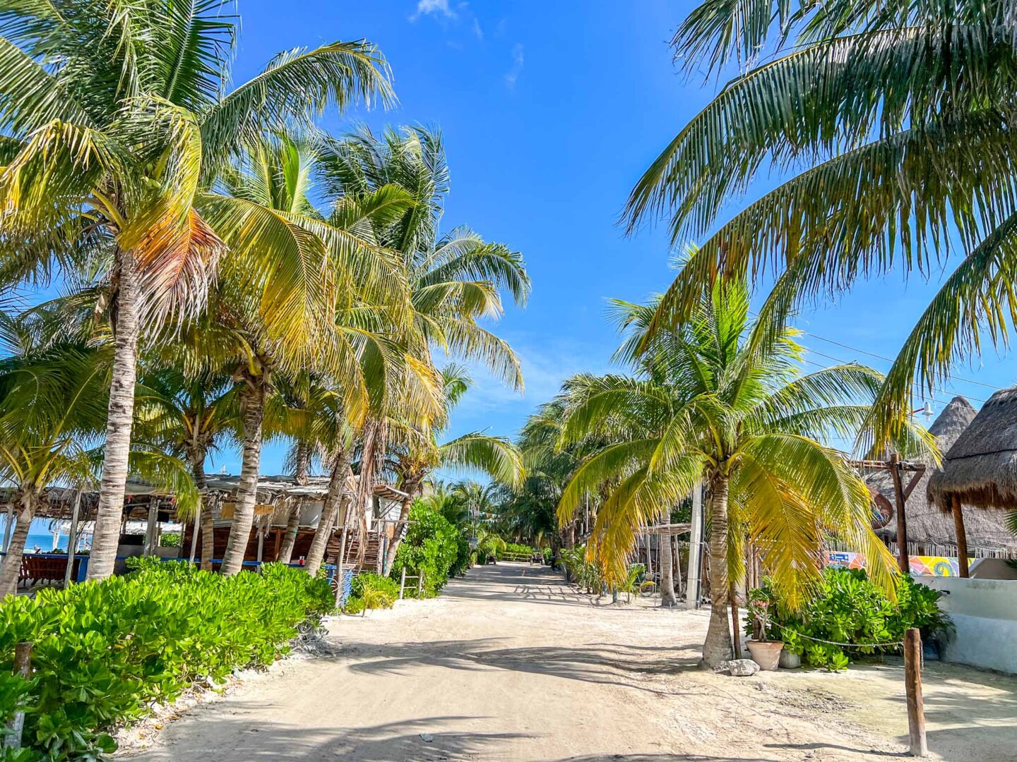 best countries to visit in July, Isla holbox path and palm trees
