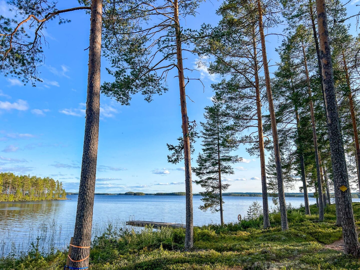 best countries to visit in July, lake view in Sweden