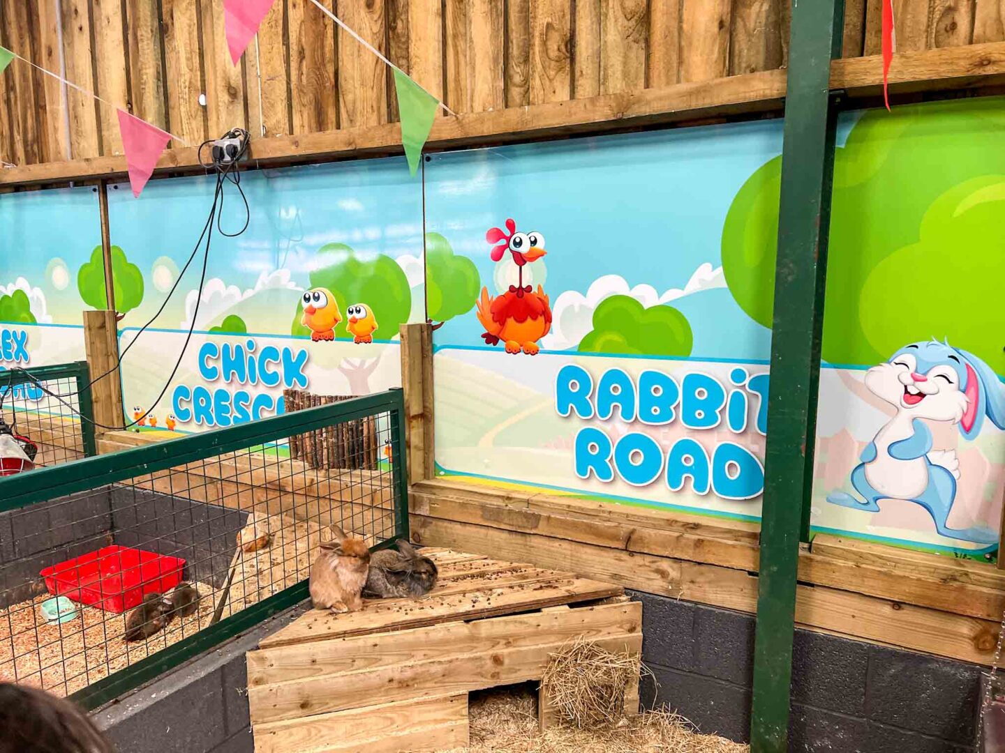 Things to Do in Manchester This February Half Term, Reddish vale park inside animal area