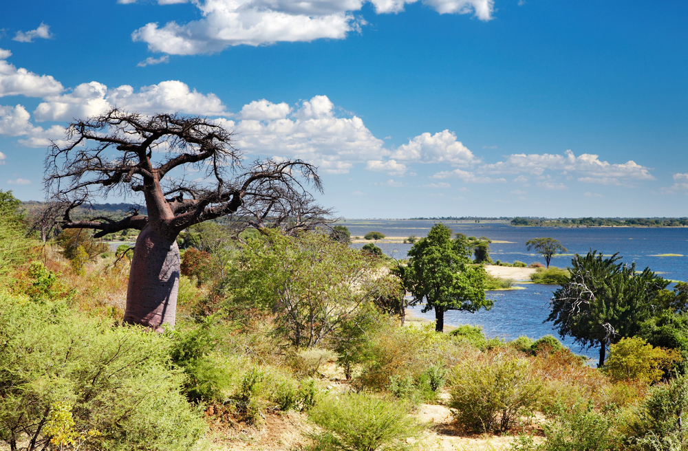 best countries to visit in June, Chobe National Park in Botswana