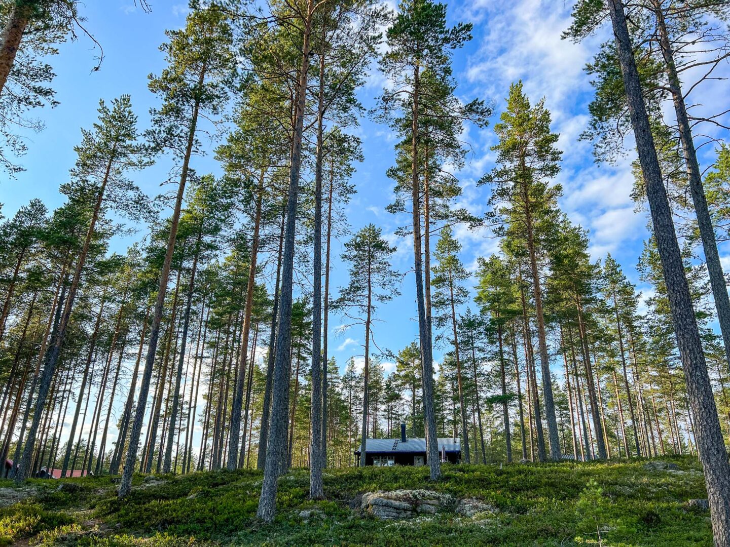 best countries to visit in June, a cabin in the woods in Sweden with blue skies