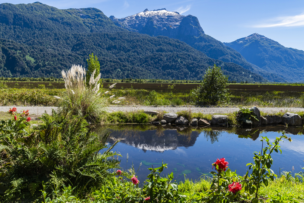 best countries to visit in September, spring flowers in Chile 